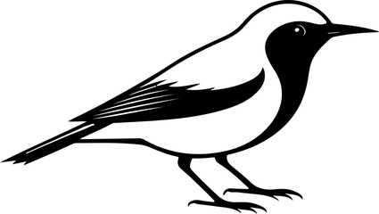 vector illustration of a bird