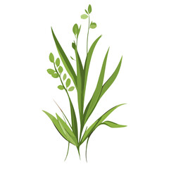 Obraz premium Flat vector of wild grass leaves leaf art vector