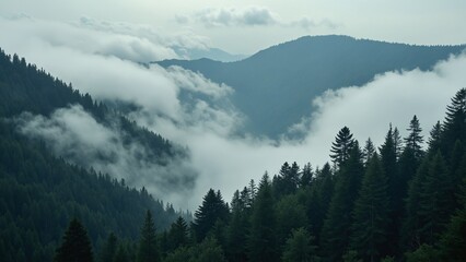 Obraz premium A misty landscape seamlessly transitions into a thick forest, with addition of hovering clouds enhancing enchanting atmosphere, highlighting interaction between wooded terrain and atmospher