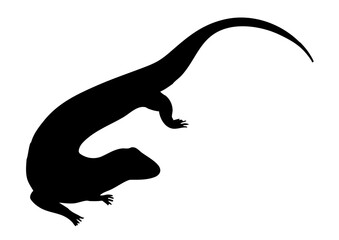 モノクロのトカゲのイラスト素材　ベクター