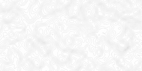 Abstract modern discovery stripe dynamic curve topo map design. White background with topographic world grid wave Topographic map geographic line texture.	