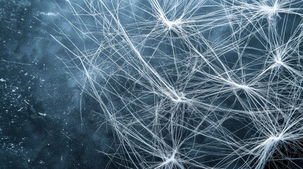 Close-up of a group of white lines that appear to be tangled and tangled together. the lines are of varying lengths and widths, creating a chaotic and intricate pattern.