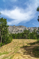 Fototapeta premium The scenic views of kargı and Taşdibi regions of Bucak, Burdur, Turkey