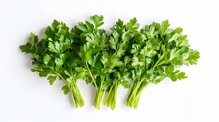 Fototapeta premium Fresh green parsley bunches are displayed on a white surface