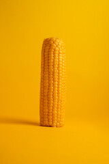 corn cob on yellow background
