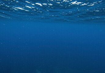 Obraz premium Underwater world with sun glares for summer vacation banner, travel advertising, nautical blog. Seascape scene illustrating diving, exotic adventure concept