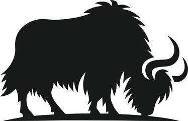 Yak grazing with head lowered animal vector silhouette