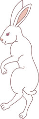White rabbit illustration. Easter bunny character cartoon.