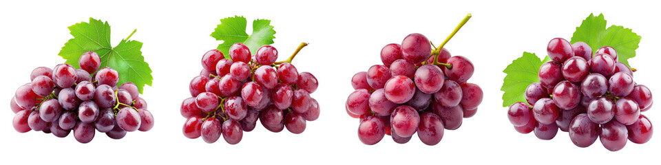 Fototapeta premium Luscious ripe red grapes growing in a bunch with green leaves on the vine ready for harvest from the vineyard