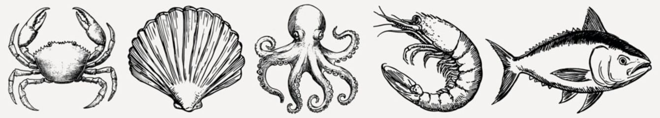 Obraz premium Vintage seafood illustration collection, isolated vector set