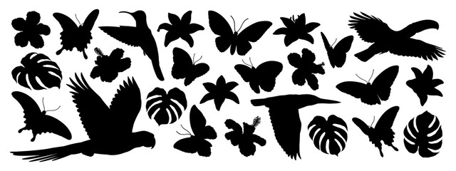 Various birds, butterflies, flowers and monstera leaves on transparent background, black silhouette illustrations, tropical illustration collection