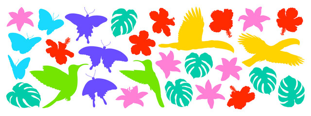 Toucans, hummingbirds, monstera leaves, various flowers and butterflies on transparent background, colorful silhouette illustrations, tropical illustration collection