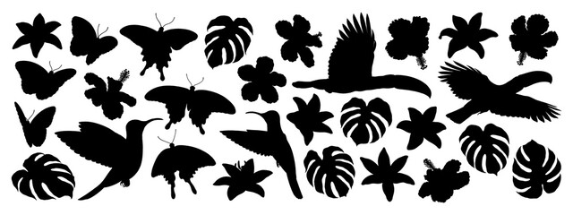Toucans, hummingbirds, monstera leaves, various flowers and butterflies on transparent background, black silhouette illustrations, tropical illustration collection