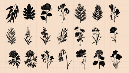 Fototapeta premium Botanical silhouette art collection, isolated vector set