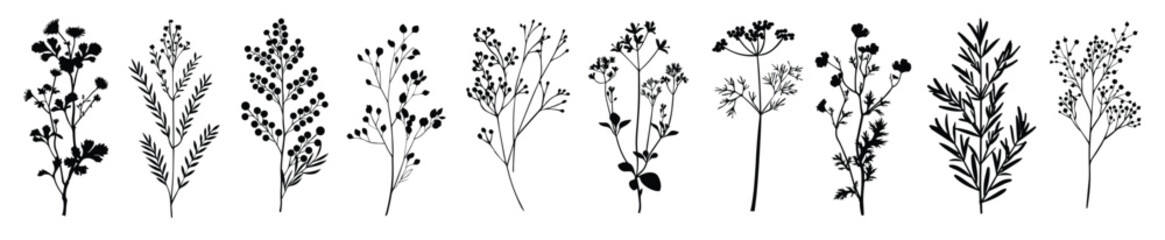 Obraz premium Botanical silhouettes in minimalist design, element vector set