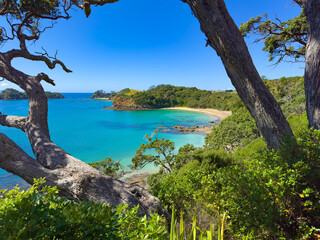 Northland, New Zealand scenery. Spectacular view of Tauwhara Bay near Whananaki, framed by old Pōhutukawa trees. Secluded east-facing beach only accessible by boat or through private land.