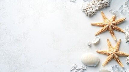 Seashells and Starfish Summer Beach Background
