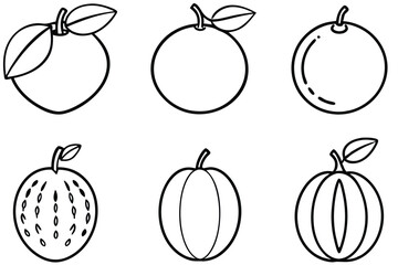 Plumcots line art modern artwork of natural fruits.eps