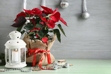 Beautiful Christmas plant poinsettia, decorations and lantern on light wooden background