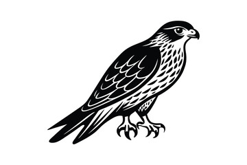 Silhouette vector art illustration of a hawk head slightly turned to the side.eps