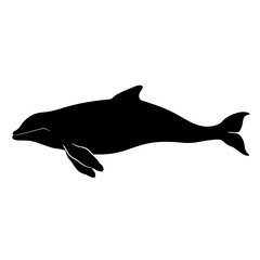 Beluga whale silhouette dolphin animal black vector