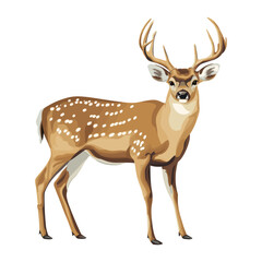 Deer illustration wildlife animal vector