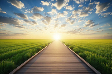 wooden walkway leads to a green field under a cloudy sky