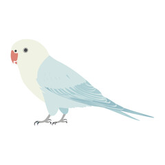 Fototapeta premium Bird illustration minimalist parakeet vector