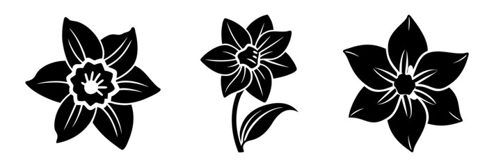 Fototapeta premium daffodil flower icon, daffodil flower silhouette vector illustration-simple silhouette illustration of daffodil flower, perfect for daffodil flower logos and icons