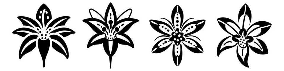 toad lily flower icon, toad lily flower silhouette vector illustration-simple silhouette illustration of toad lily flower, perfect for toad lily flower logos and icons