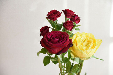 赤と黄色のばら