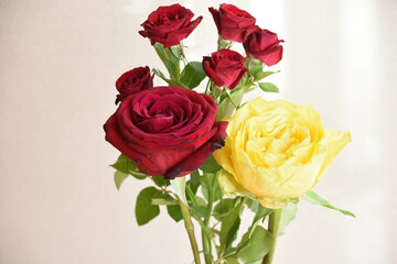赤と黄色のばら