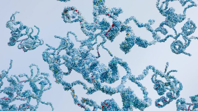 Molecular structure of human Insulin like growth factors, biological concept, chemistry and biochemistry, loop, cartoon model, interlaced hydrophobic side chains, IGFBP-5 and IGF-I, 3d render