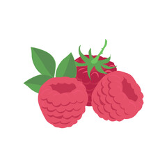 23 - Element Food drink