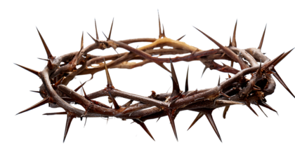 crown of thorns isolated on transparent background.