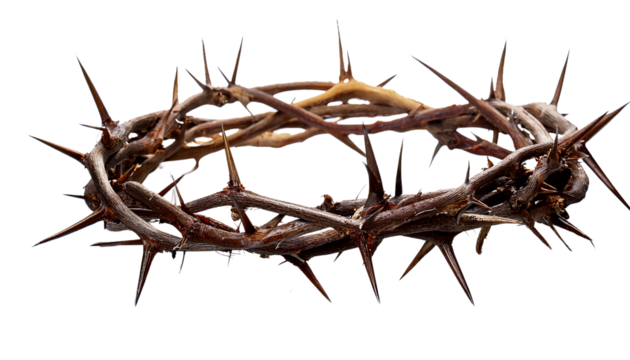 crown of thorns isolated on transparent background.