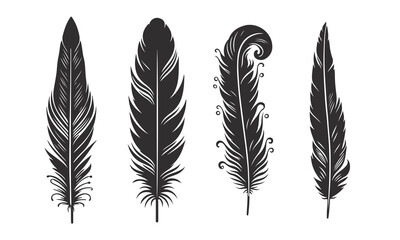 feathers silhouette set vector on white background