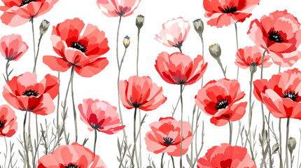 Fototapeta premium Watercolor red flowers poppies on a white background