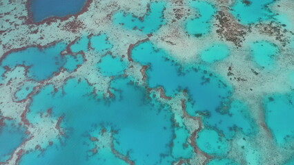 Great barrier reef breathtaking spectacle of vibrant turquoise oceanwater enveloping colorful coral formations, creating a mesmerizing tapestry of nature's artistry. Natural pattern background
