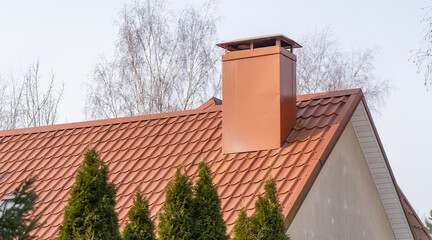 Dwelling protection: a tiled roof and chimney with evergreen trees