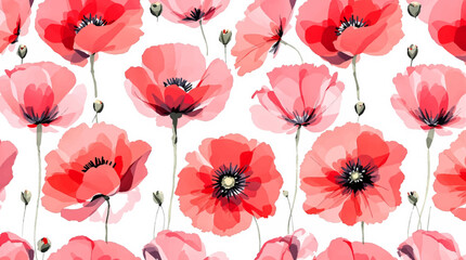 Watercolor red flowers poppies on a white background