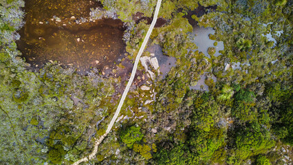 A hiking path and it´s vegetation in the mountains of Tasmania, seen from above