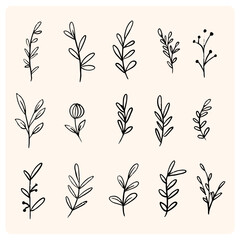 Floral ornaments doodle set. Hand drawn tree branches with leaves and flowers