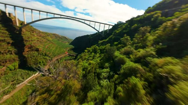 La Palma - Puente de los Tilos