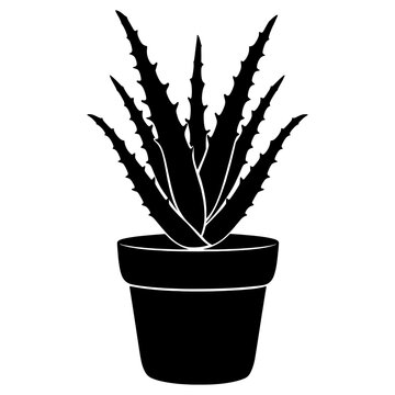 black aloe vera plant in pot clip art preview