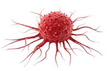 Obraz premium red cancer cell isolated PNG