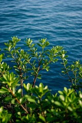 Obraz premium a close up of a plant with green leaves near the water