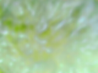 Light green abstract background