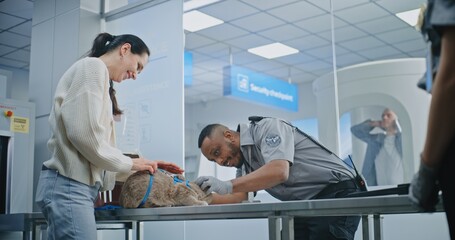 Woman with Pet During Screening in Airport Terminal: African American TSA Officer Examining Cat, Scanning Using Metal Detector, Placing in Carrying Case. Security Checkpoint before Boarding Flight.