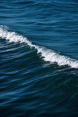Naklejka premium surfer riding a wave in the ocean on a sunny day